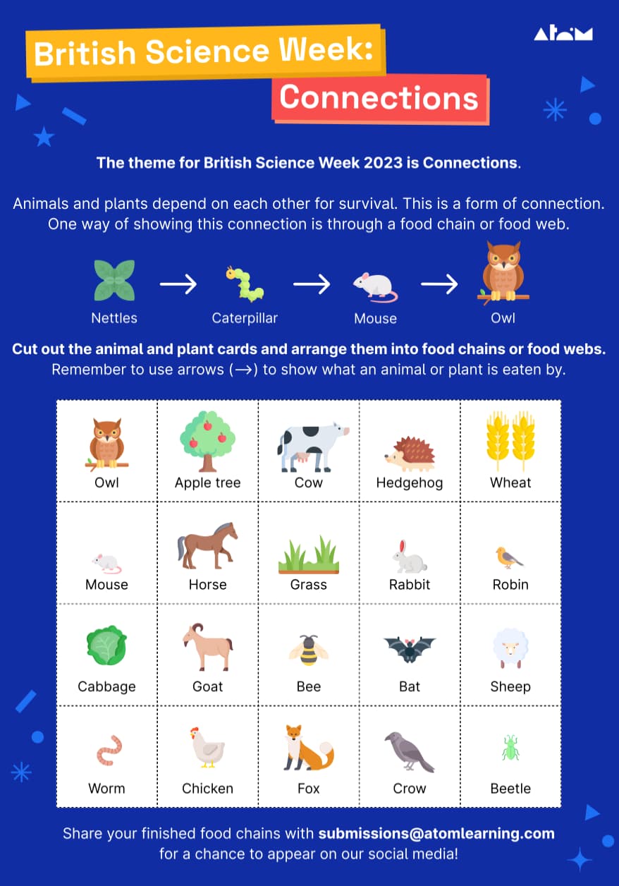 British Science Week cut and stick activity